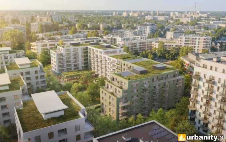 Miniaturka Przasnyska 6B