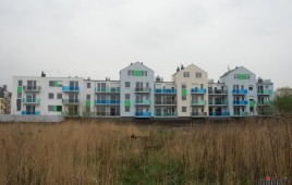 Smardzowska