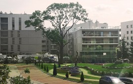 Apartamenty Antoniuk