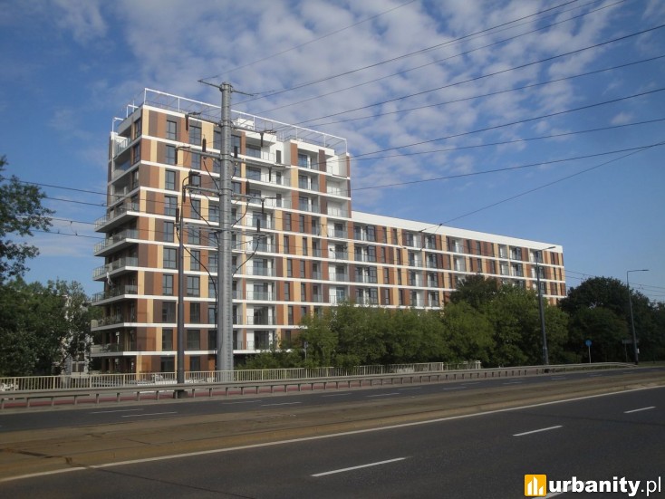 Miniaturka Żoli Żoli