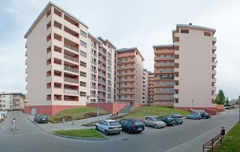 Zielona Galicja