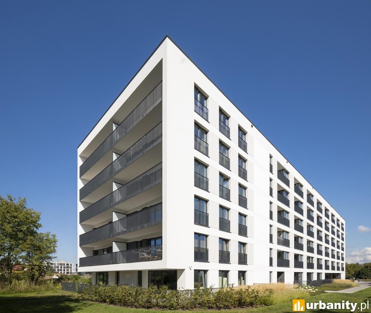 Miniaturka Lipska 16