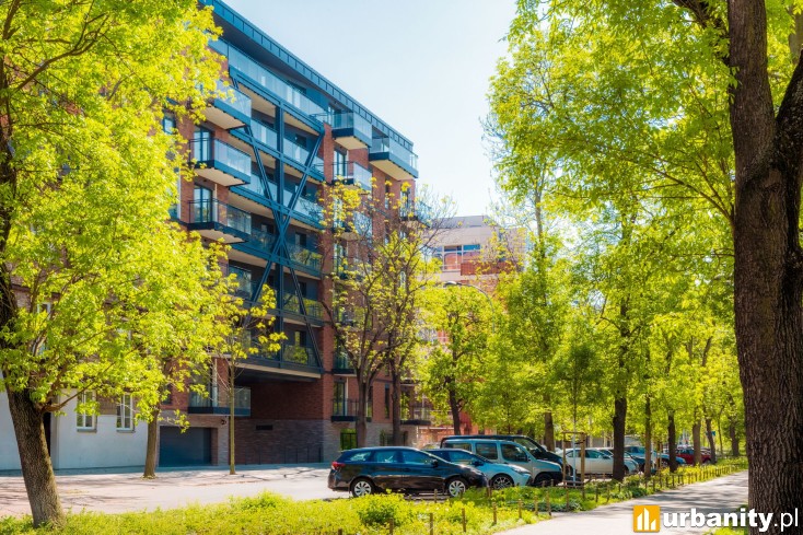 Miniaturka Na Okrzei