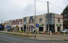 Leśna 2