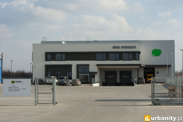 Miniaturka Sortownia owoców Owoc Wysoczyn