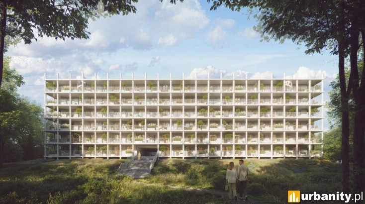 Miniaturka Koronki - Apartamenty Korfantego
