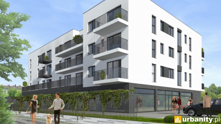 Miniaturka Klimontowska 20