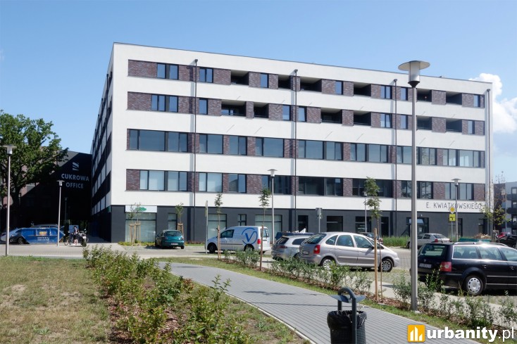 Miniaturka Cukrowa Office