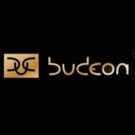 Budeon Remigiusz Kocent