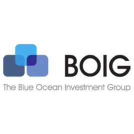 The Blue Ocean Investment Group