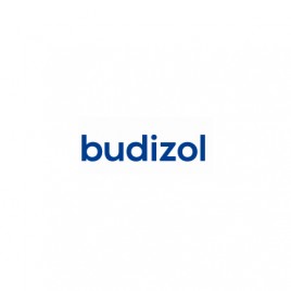 Budizol