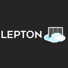 Lepton