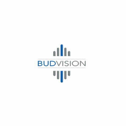 Budvision