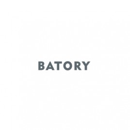 Grupa Batory