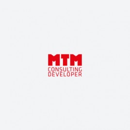 MTM Consulting Developer