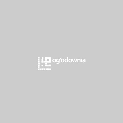 Ogrodownia