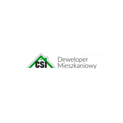 CSI Development