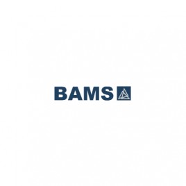 Bams Biuro Architektoniczne Makowski & Sołdek