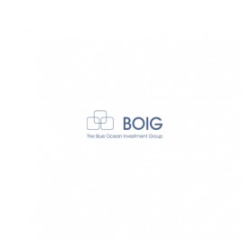 BOIG Property Consulting