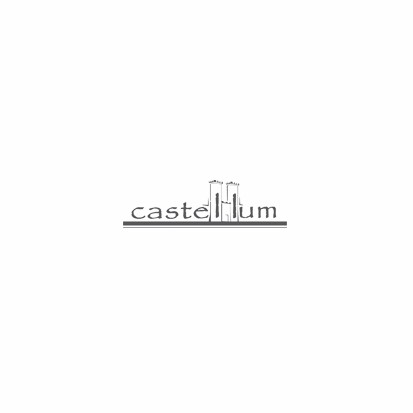 Przedsiębiorstwo Budowlano-Konserwatorskie Castellum