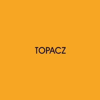Topacz Investment