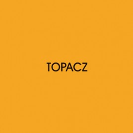 Topacz Investment