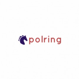 Polring-Glas