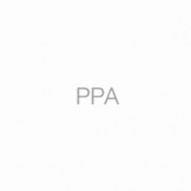 PPA podczaszy pracownia architektury