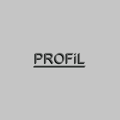 Profil Studio architektoniczne. Realizacja inwestycji.