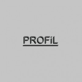 Profil Studio architektoniczne. Realizacja inwestycji.
