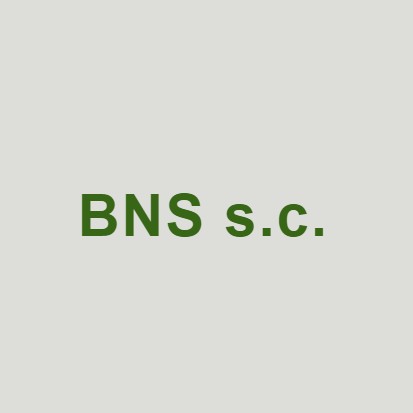 Pracownia Architektoniczna BNS