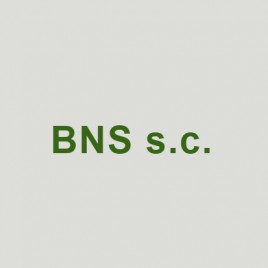 Pracownia Architektoniczna BNS