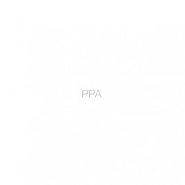 PPA podczaszy pracownia architektury