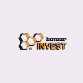 Bumar Invest