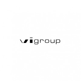VI Group