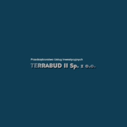 Przedsiębiorstwo Usług Inwestycyjnych Terrabud II