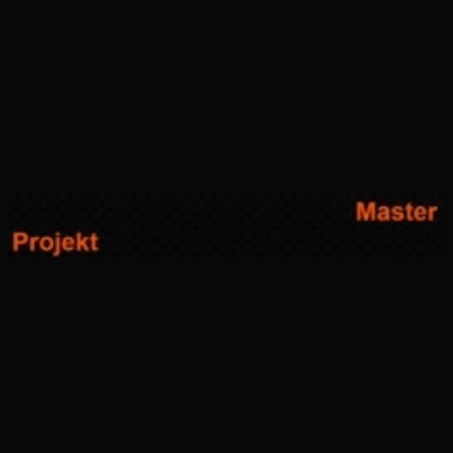 Master Projekt