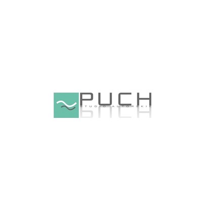 studio autorskie Puch