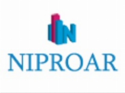 NIPROAR Investment