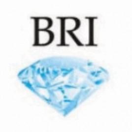Biuro Realizacji Inwestycji Barbary Koziorowskiej