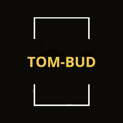 Usługi budowlane TOMBUD