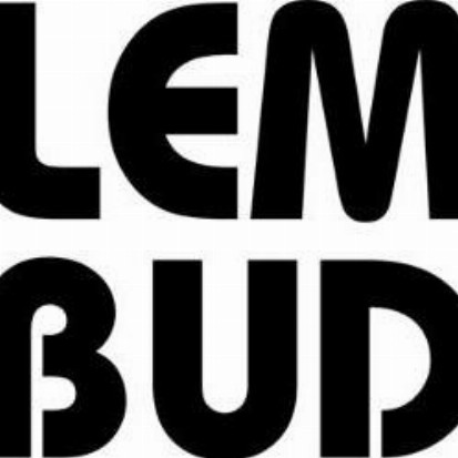 Przedsiębiorstwo Usługowo Handlowe LEM-BUD