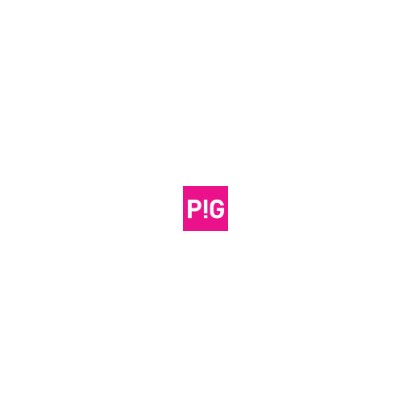 PIG Architekci
