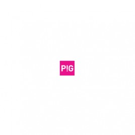 PIG Architekci