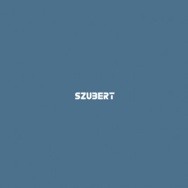 Szubert Firma Budowlana