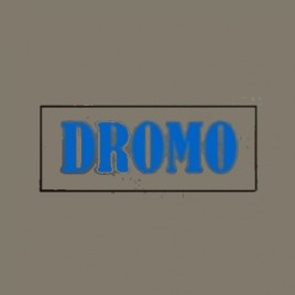 Przedsiębiorstwo Produkcyjno-Usługowe DROMO