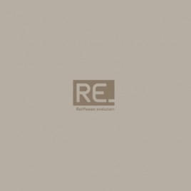 RE Project Development
