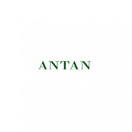 Antan Development Polska