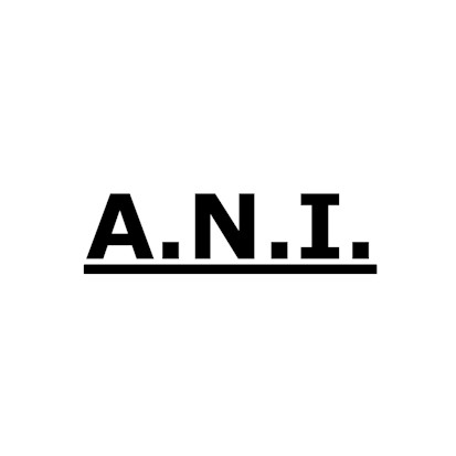 Pracownia Projektowa A.N.I.
