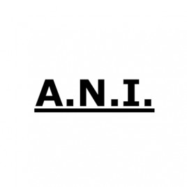 Pracownia Projektowa A.N.I.
